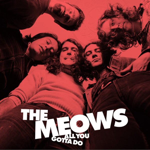 Meows|All You Gotta Do