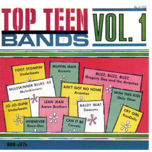 Top Teen Bands Vol. 1|Various Artists