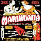 Marihuana - marihuana