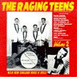 Raging Teens Vol. 2 - Various Artists