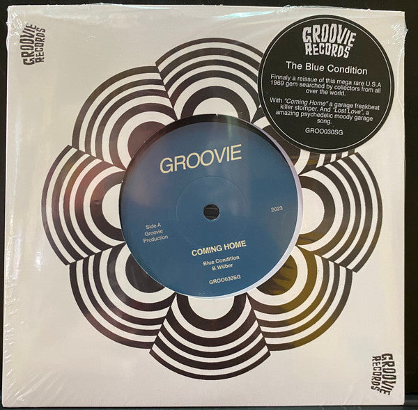 60's Punk / Garage / Beat / Pysch | Penniman Records