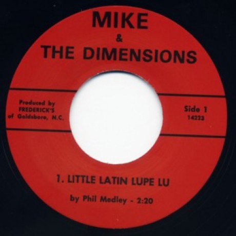 Mike & The Dimensions|Little Latin Lupe Lu