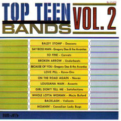 Top Teen Bands Vol. 2|Various Artists