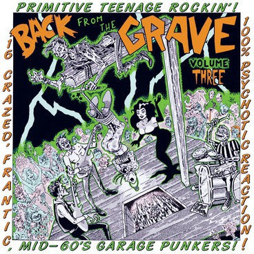 Back From The Grave Vol. 3 CD - Various Artists