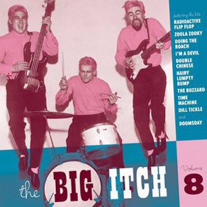 Big Itch Vol. 8 - Various Artists