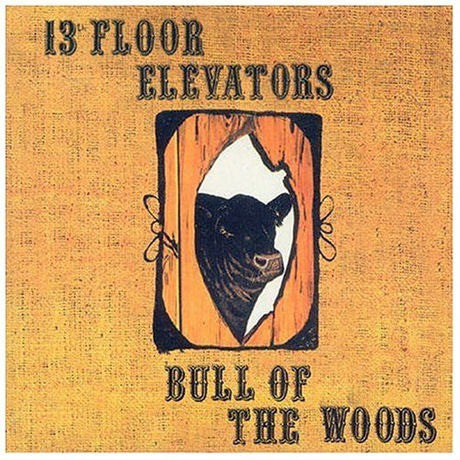 13th Floor Elevators  - Bull Of The Woods