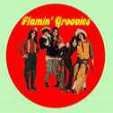 Flamin Groovies - Chapa / Badge
