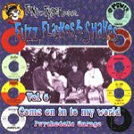 Tony The Tyger Presents Fuzz Flaykes and Shakes Vol. Six: Come On In To My World  - Various Artists