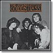 Misunderstood - Golden Glass