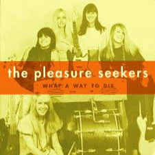 Pleasure Seekers  - What A Way To Die