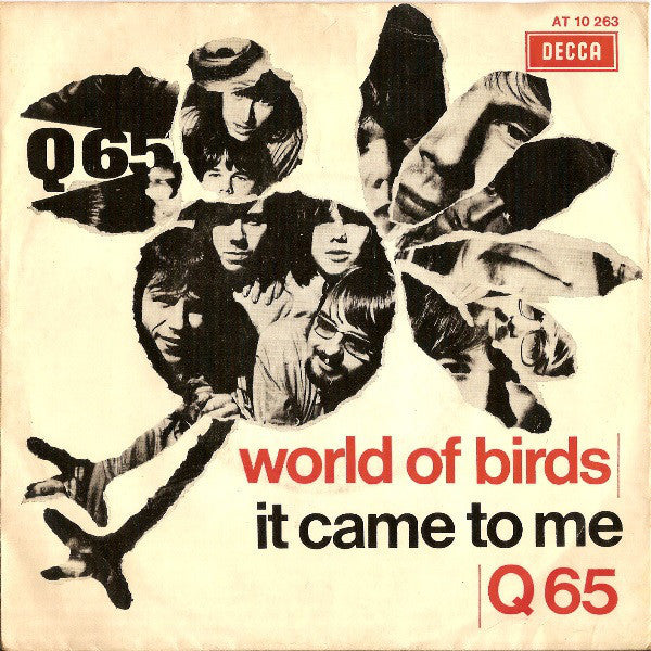 Q65|World Of Birds