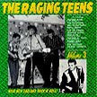 Raging Teens Vol. 3 - Various Artists