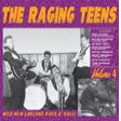 Raging Teens Vol. 4 - Various Artists