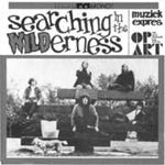 Searching in The Wilderness - Various Artists