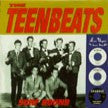 Teenbeats - Surf Bound
