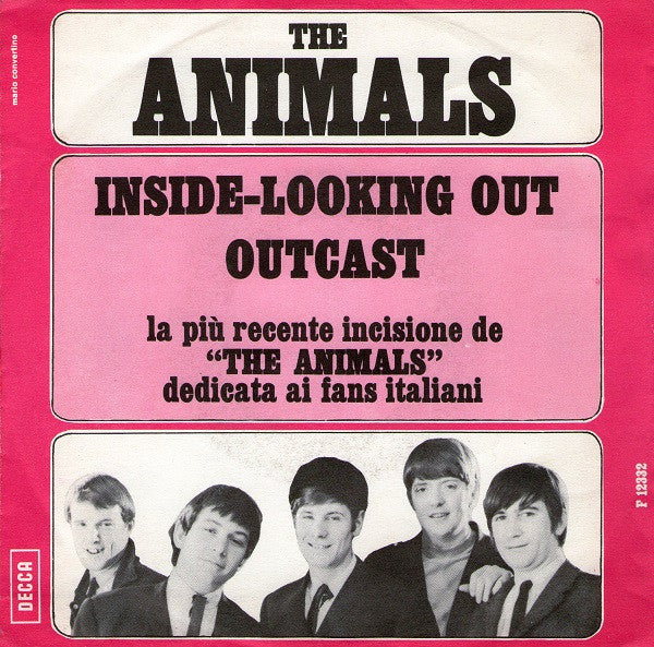 Animals|Inside Looking Out