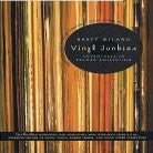 Vinyl Junkies  - 